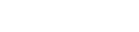 28 december 2020  starten we in het plaatselijke  café de Rode Leeuw aan een intensief en tijdrovend project,  er komt in de zaal een “Wall of Fame”  van legendarische muziekhelden.